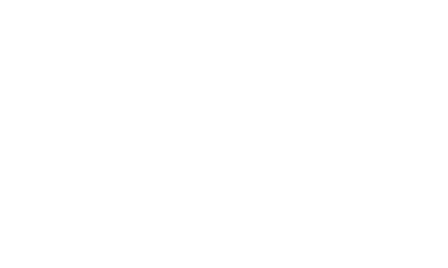 The CSS logo.
