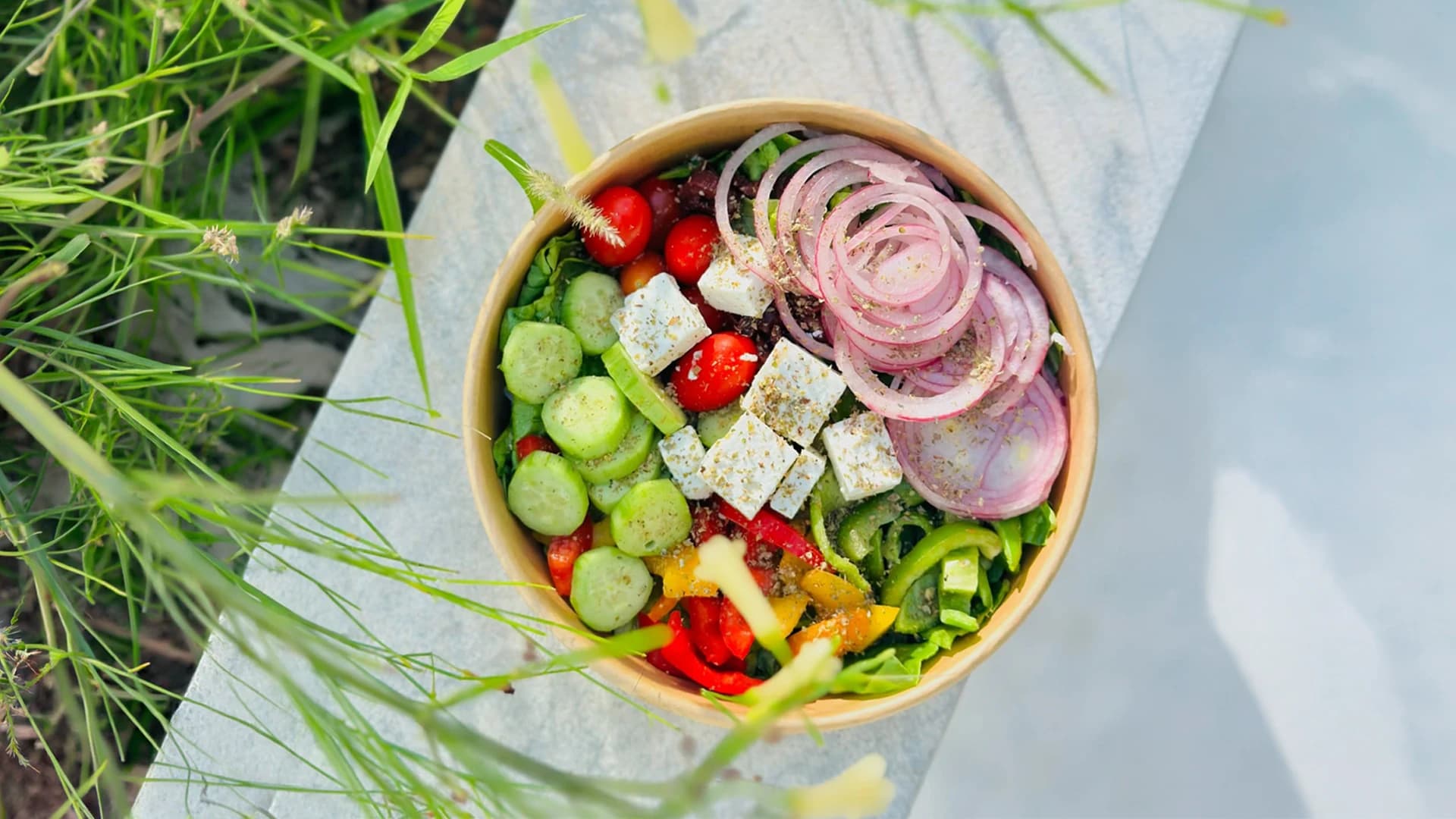 Special Diets & Meals